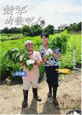 金牌好声音 综艺